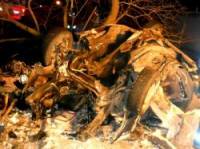В Киеве «Ауди» слетела с дороги и самоуничтожилась о дерево. Один человек погиб, еще четверо госпитализированы