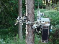 В Японии создали робота-лесоруба, который может... взбираться по стволу