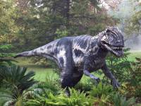 Американские физики полагают, что динозавры вымерли из-за темной материи