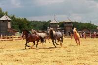 В эти выходные ждем лето. Самое время отдохнуть за городом - в Парке Киевская Русь