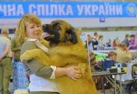 В Киеве прошли собачьи выставки «Золотые ворота-2014» и «Украина-2014»