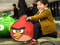 Британские ученые рекомендуют использовать Angry Birds в образовательных целях
