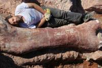 В Аргентине нашли «кладбище» динозавров. Причины его появления не ясны