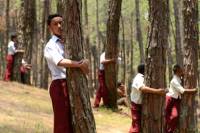 Более двух тысяч жителей Непала одновременно обнялись с деревьями