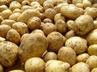 Россия не пускает в Крым украинскую картошку