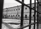 На Луганщине при захвате сепаратистами исправительной колонии сбежали 8 заключенных