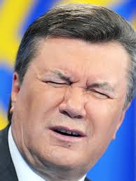 У родственницы Януковича нашли арсенал оружия, георгиевские ленты, флаги ДНР и фальшивые гривни