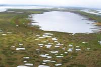 Оказывается, от глобального потепления Землю спасают озера в Арктике