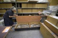 В США работники музея случайно нашли в хранилище скелет мужчины, жившего... 6,5 тыс. лет назад