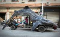Китайский рыбак умудрился поймать акулу длиной… 4,5 метра