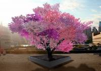 Профессор Сиракузского университета вырастил дерево, на котором растет 40 видов фруктов