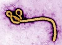 Лихорадка Эбола подбирается к Украине