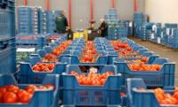 Россия не пропустила в Крым украинские овощи
