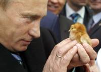 План Путина и асимметричный ответ