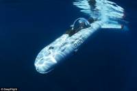 В США создали частную подводную лодку по сходной цене