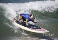 В Калифорнии прошел шестой ежегодный Surf City