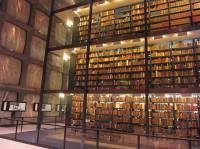 Так выглядит одна из самых необычных библиотек в мире
