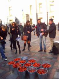 Под парламентом уже приготовили помидоры для нардепов, которые не проголосуют за антикоррупционные законы