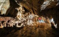 В Словакии туристы случайно нашли в лесу огромную пещеру
