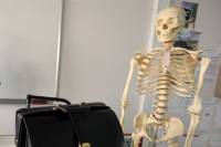 Скелет бывшего директора румынской школы сгодился детишкам для уроков анатомии