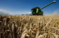 Если верить прогнозам, США готовы отказаться от российской пшеницы в пользу украинской