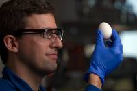 Ученые нашли способ сделать вареное яйцо... опять сырым