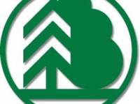 Стала известна фамилия главного претендента на должность главы  Госагентства лесных ресурсов /источник/