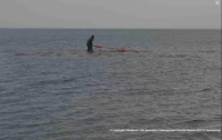 Украинские пограничники выловили в Азовском море неопознанный летающий объект