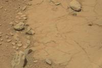 На Марсе нашли... череп динозавра