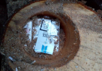 На Волыни пограничники задержали партию контрафактных сигарет