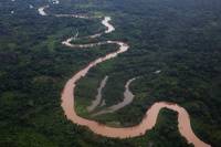 В джунглях Гондураса обнаружены следы неизвестной цивилизации