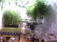 В центре Днепропетровска обнаружена нарколаборатория