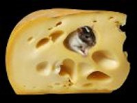 Жительница Швеции болеет удивительной фобией - она панически боится сыра