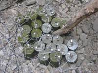 На Донбассе мирные жители все чаще подрываются на минах