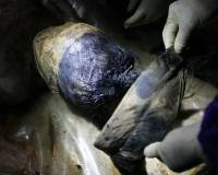 В Китае строители наткнулись на мумию, которой 700 лет
