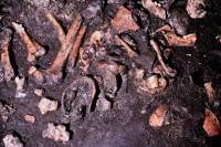 Ученые объяснили срезание мяса с костей трупов у древних италийцев