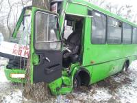 На Харьковщине Acura отправила автобус прямиком в дерево. Пострадали 8 человек