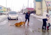 В России дрессировщица решила выгулять на улице циркового льва. Животное напало на ребенка
