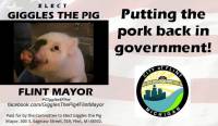 В Мичигане кандидатом в мэры города стала... свинья