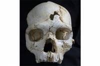 Ученые наглядно доказали, что уже 430 тыс. лет назад люди убивали своих соплеменников