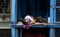 В Индии за прошедшие сутки от жары умерли 500 человек