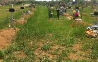 В Донецке появилось кладбище боевиков с множеством безымянных могил