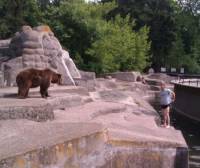В Варшаве пьяный мужчина залез в вольер к медведице и… избил животное