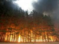 100 га леса горит на Луганщине. Из-за постоянных обстрелов