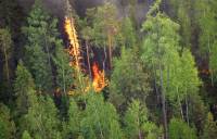 В России во время учений из самолета выпал БМД. Горит 200 га леса