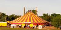 Хотите «шоу» – сходите в провинциальный цирк