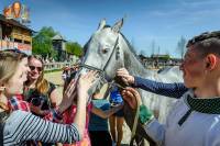 Древний Киев зовет на выставку породистых лошадей и на День воды