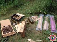 Во дворе обычного дома в Авдеевке найдены гранатометы, 27 гранат и тысячи патронов