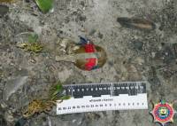 На мариупольском пляже отдыхающие нашли гранату