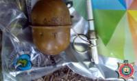 В Марьинке в лесополосе найден  гранатомет и две гранаты